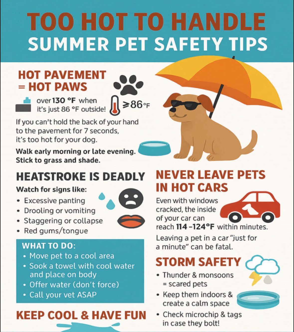 Summer Pet Safety Tips